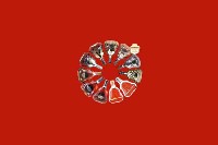 东昌区回收红酒